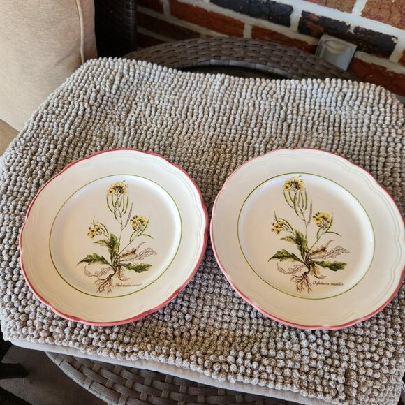 Vintage Italian Plates - PRL10 Diplotaxis Muralis by Primula - Picture 2 of 7